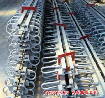 重慶誠信合作 探索攝影燈泡與光波網的技術交流新篇章